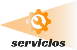 Servicios